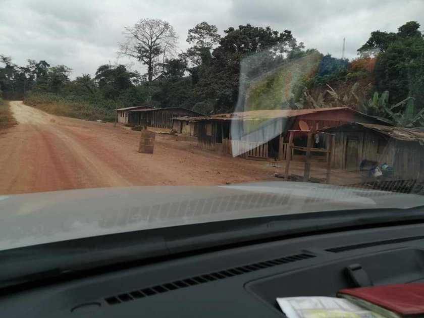 gallery/72236406_109077177170499_7547384950807330816_n